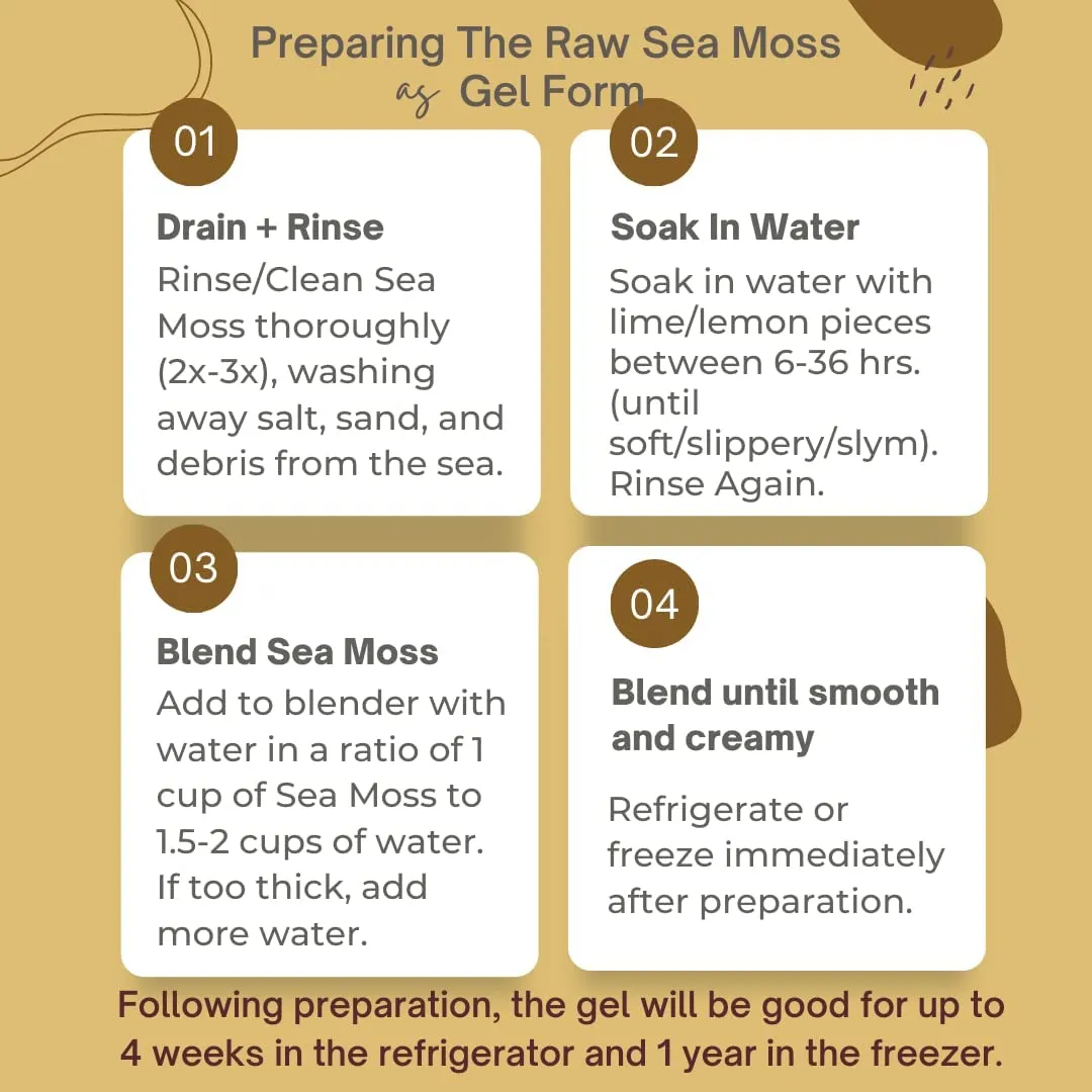 Gold Sea Moss (Dry) - Wildcrafted From Caribbean 4oz