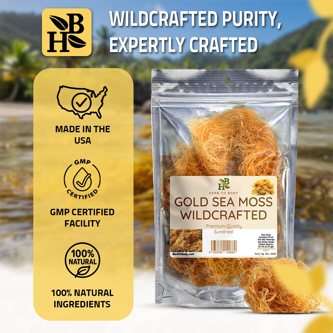 Gold Sea Moss (Dry) -  Wildcrafted From Caribbean 4oz