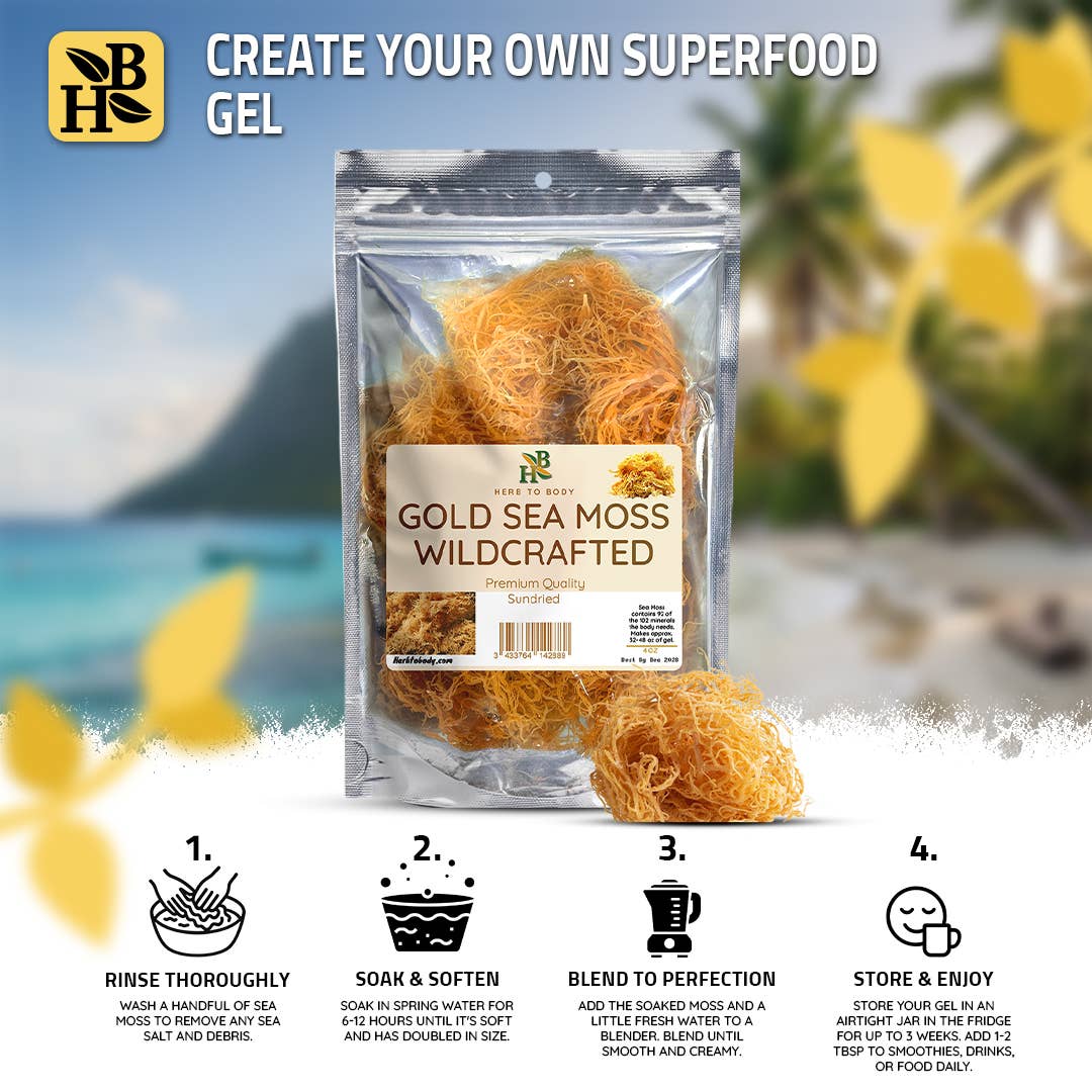 Gold Sea Moss (Dry) -  Wildcrafted From Caribbean 4oz