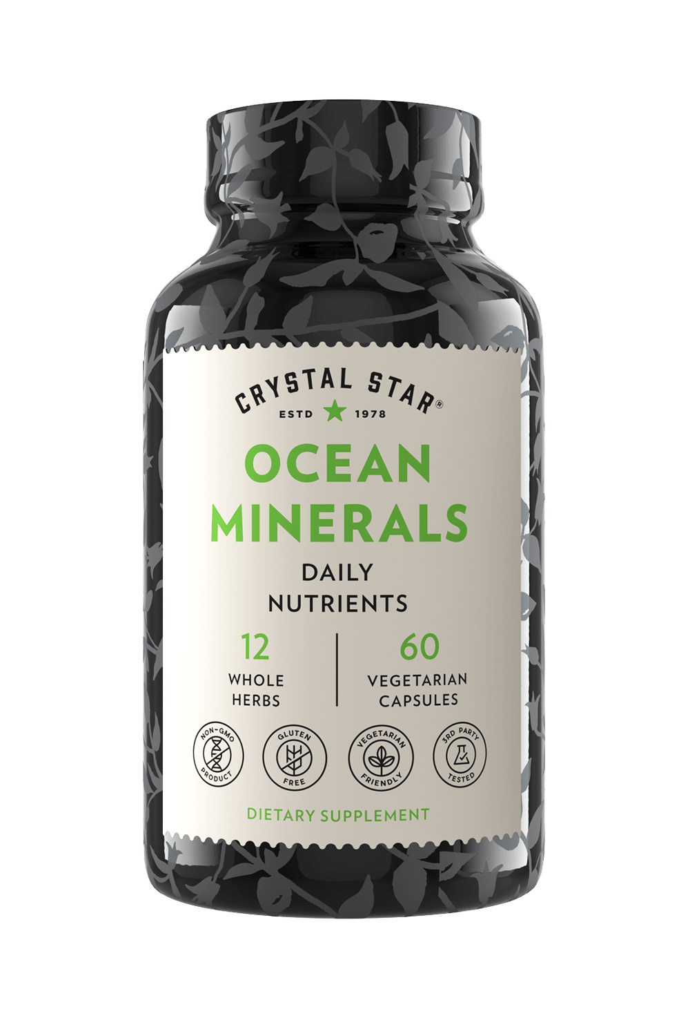 Ocean Minerals