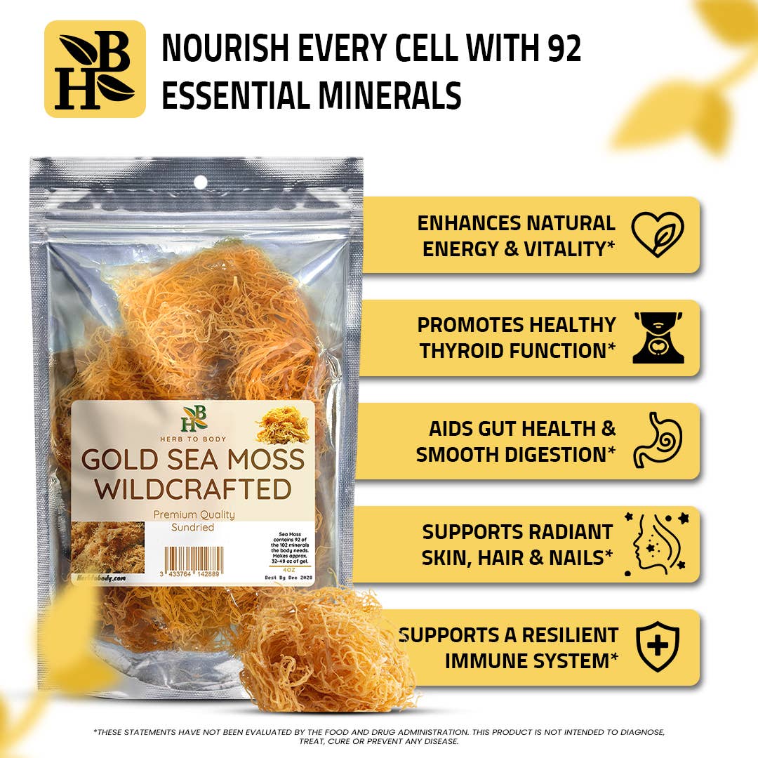Gold Sea Moss (Dry) -  Wildcrafted From Caribbean 4oz