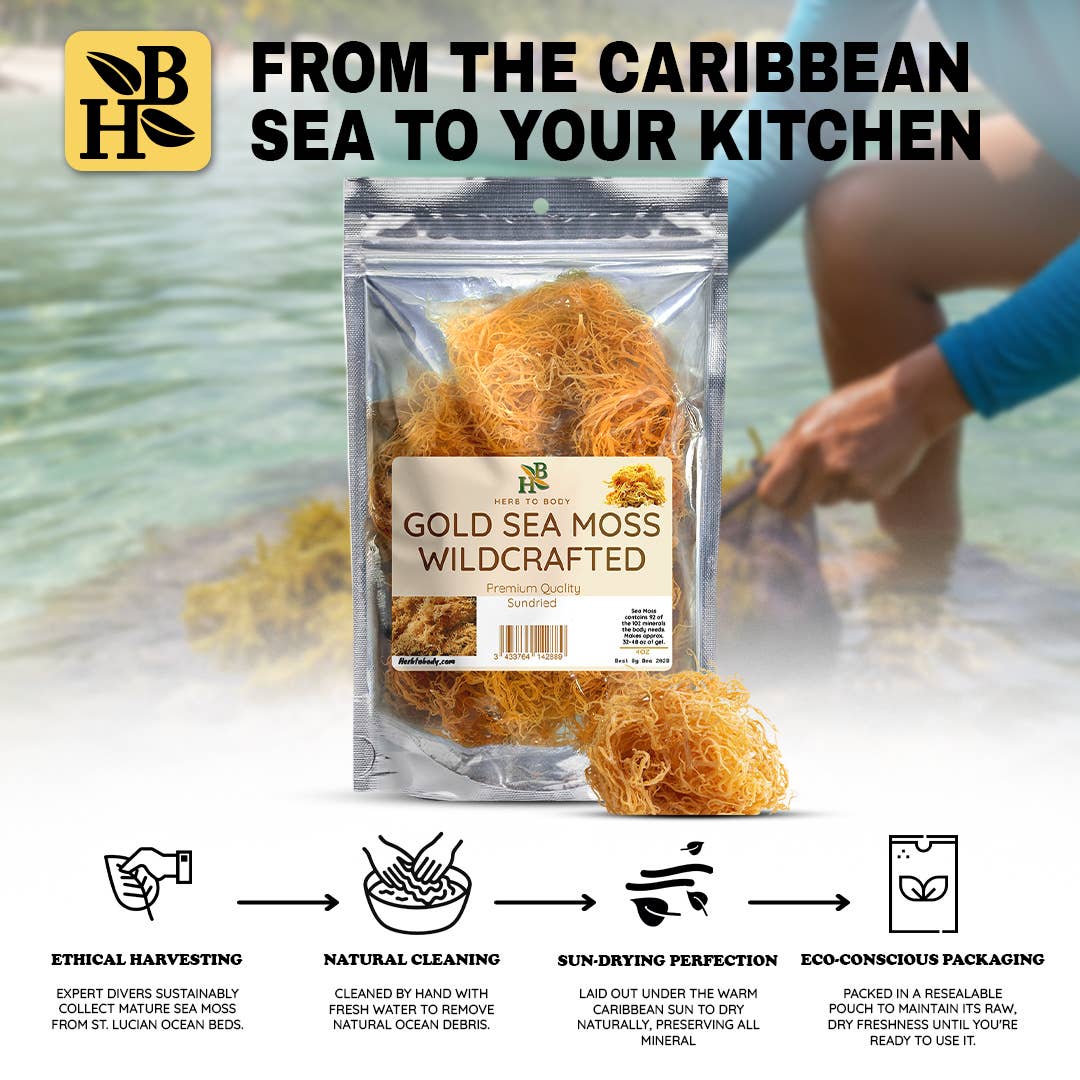Gold Sea Moss (Dry) -  Wildcrafted From Caribbean 4oz